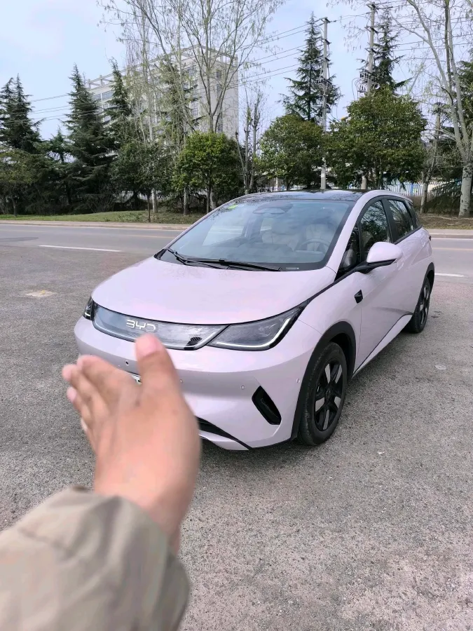 2025 BYD Dolphin BEV 45.12KWH,autocango,china used car exporter,china ev exporter,chinese used car exporter,chinese used ev exporter