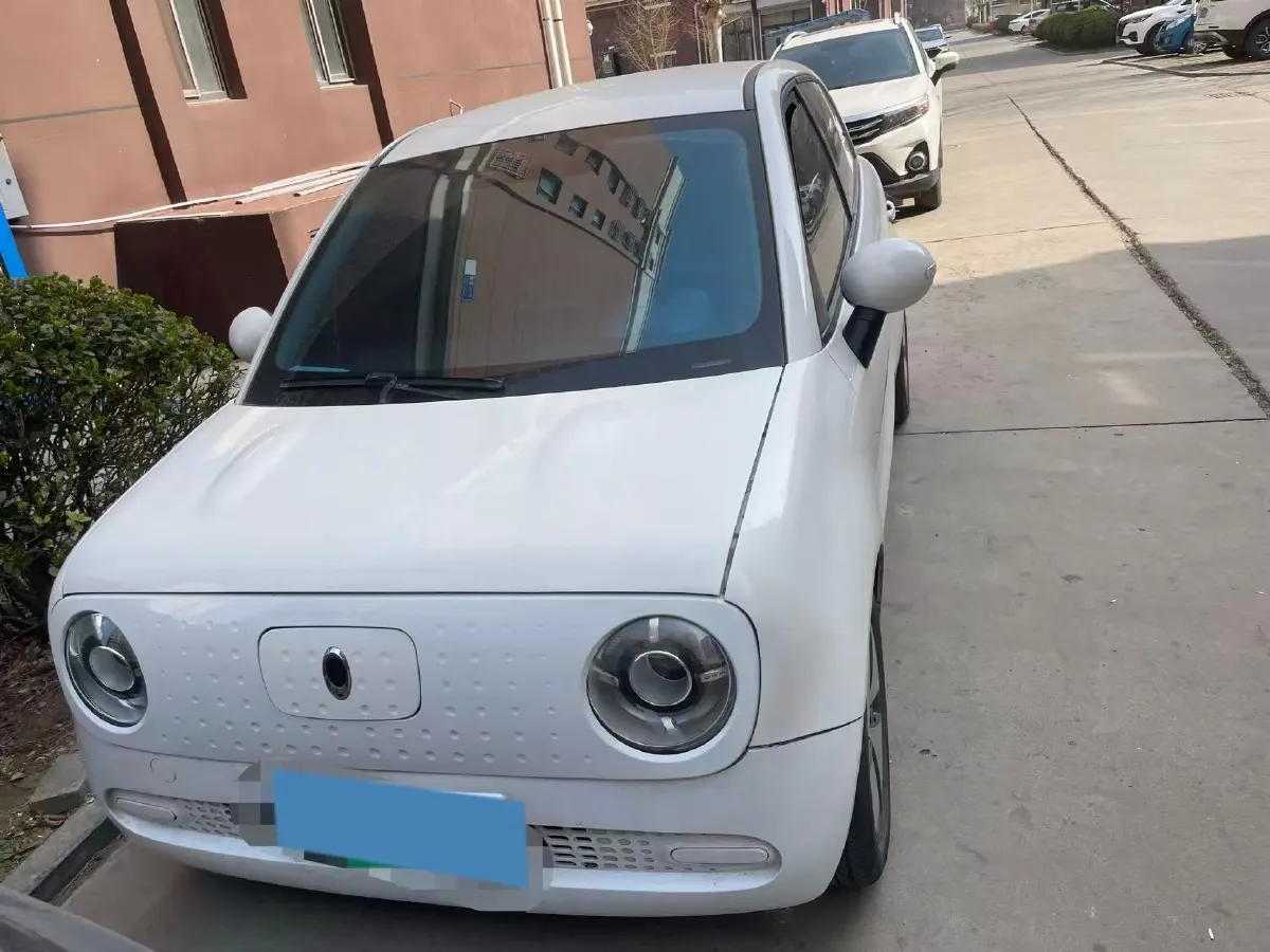 2019 Ora BlackCat BEV 28.5KWH,autocango,china used car exporter,china ev exporter,chinese used car exporter,chinese used ev exporter