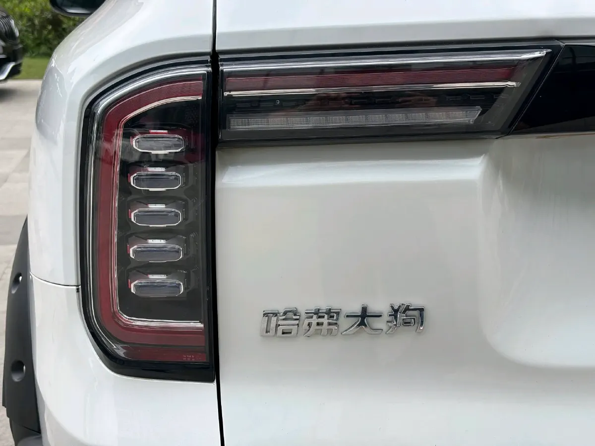 2022 Haval Dargo 2.0T 211HP L4 7DCT,autocango,china used car exporter,china ev exporter,chinese used car exporter,chinese used ev exporter