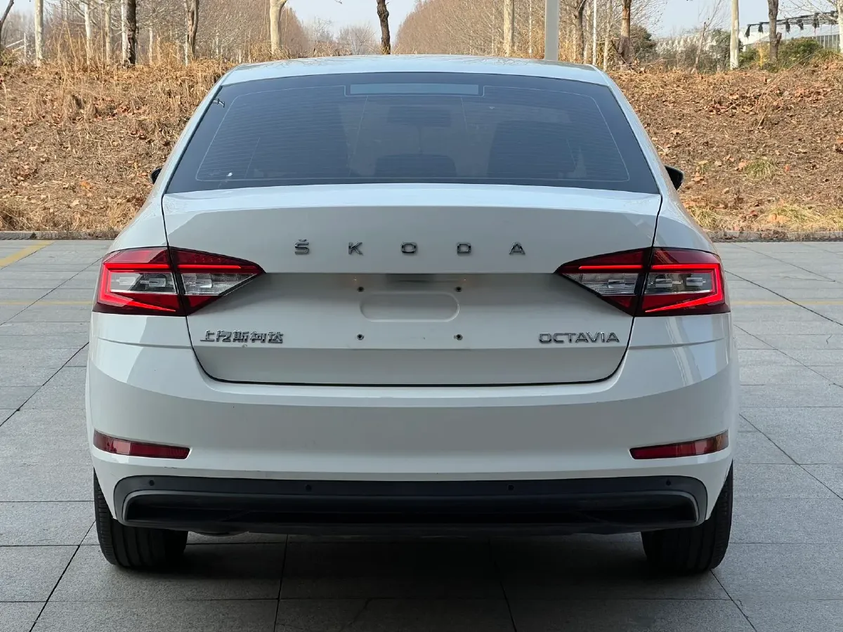 2019 Skoda Octavia 1.5L 116HP L4 6AT,autocango,china used car exporter,china ev exporter,chinese used car exporter,chinese used ev exporter
