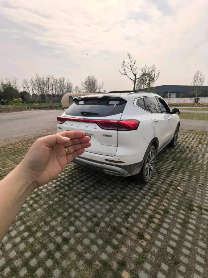 2021 Haval H6 1.5T 169HP L4 7DCT,autocango,china used car exporter,china ev exporter,chinese used car exporter,chinese used ev exporter