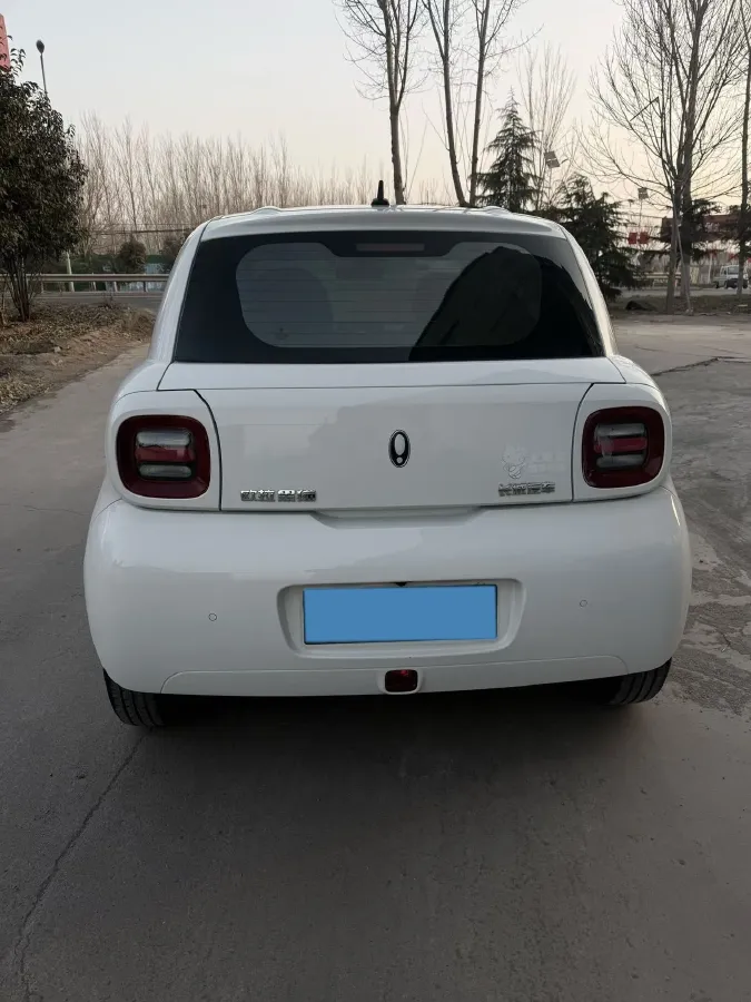 2022 Ora BlackCat BEV 30.3KWH,autocango,china used car exporter,china ev exporter,chinese used car exporter,chinese used ev exporter