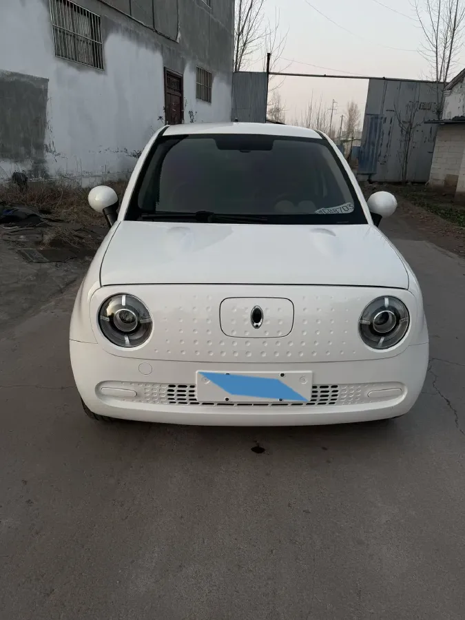 2022 Ora BlackCat BEV 30.3KWH,autocango,china used car exporter,china ev exporter,chinese used car exporter,chinese used ev exporter