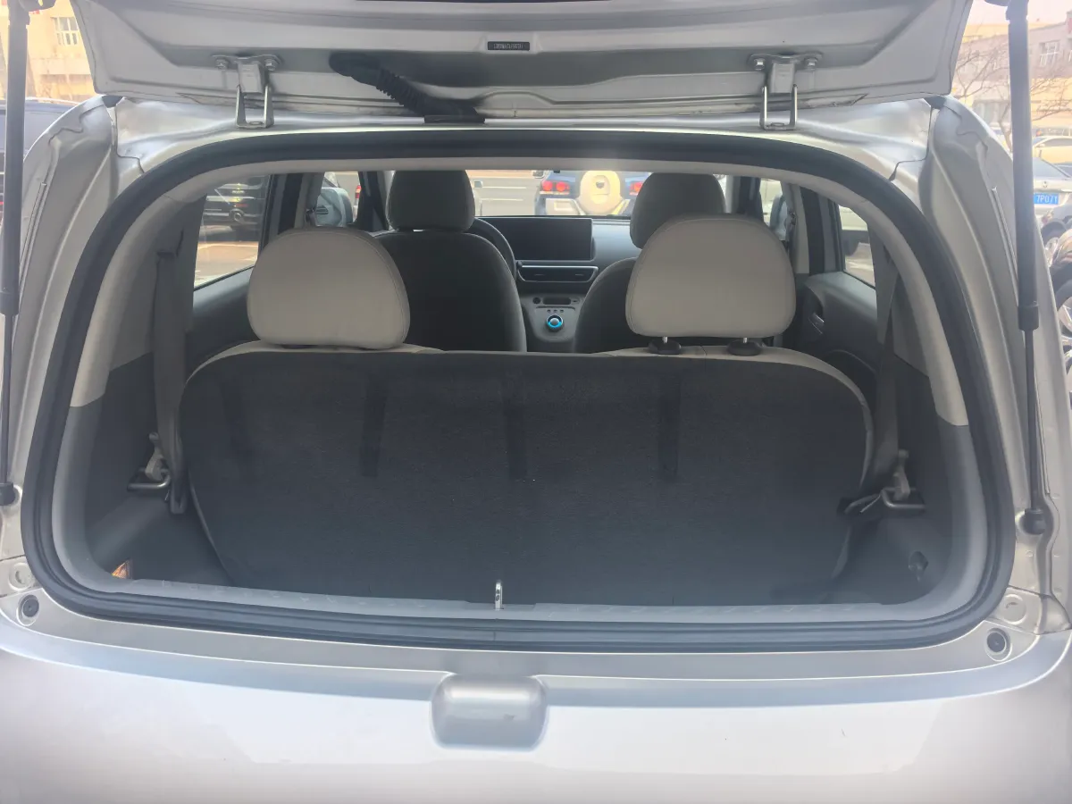 2020 Ora WhiteCat BEV 33KWH,autocango,china used car exporter,china ev exporter,chinese used car exporter,chinese used ev exporter