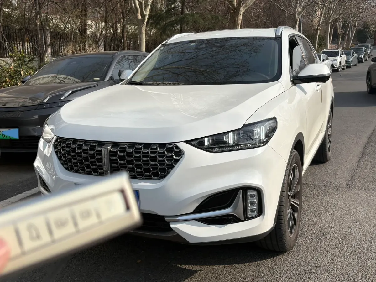 2020 WEY VV6 2.0T 227HP L4 7DCT,autocango,china used car exporter,china ev exporter,chinese used car exporter,chinese used ev exporter