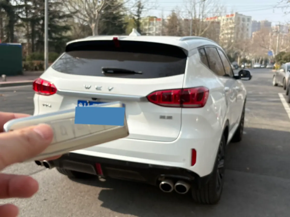 2020 WEY VV6 2.0T 227HP L4 7DCT,autocango,china used car exporter,china ev exporter,chinese used car exporter,chinese used ev exporter