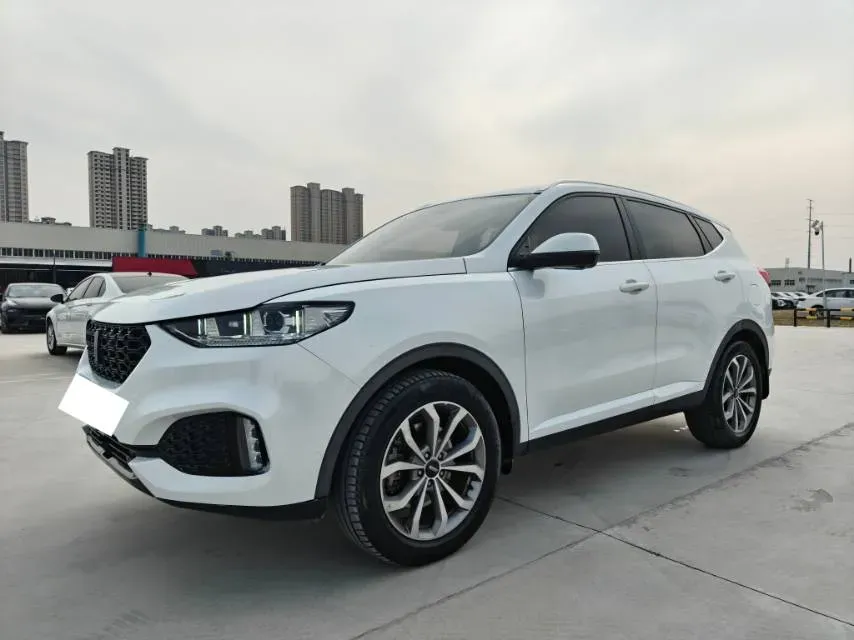 2018 WEY VV6 2.0T 197HP L4 7DCT,autocango,china used car exporter,china ev exporter,chinese used car exporter,chinese used ev exporter