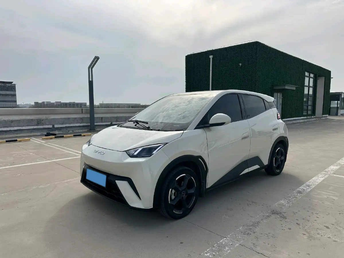 2023 BYD Seagull BEV 30.08KWH,autocango,china used car exporter,china ev exporter,chinese used car exporter,chinese used ev exporter