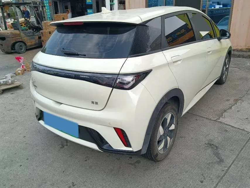 2024 BYD Dolphin BEV 44.928KWH,autocango,china used car exporter,china ev exporter,chinese used car exporter,chinese used ev exporter
