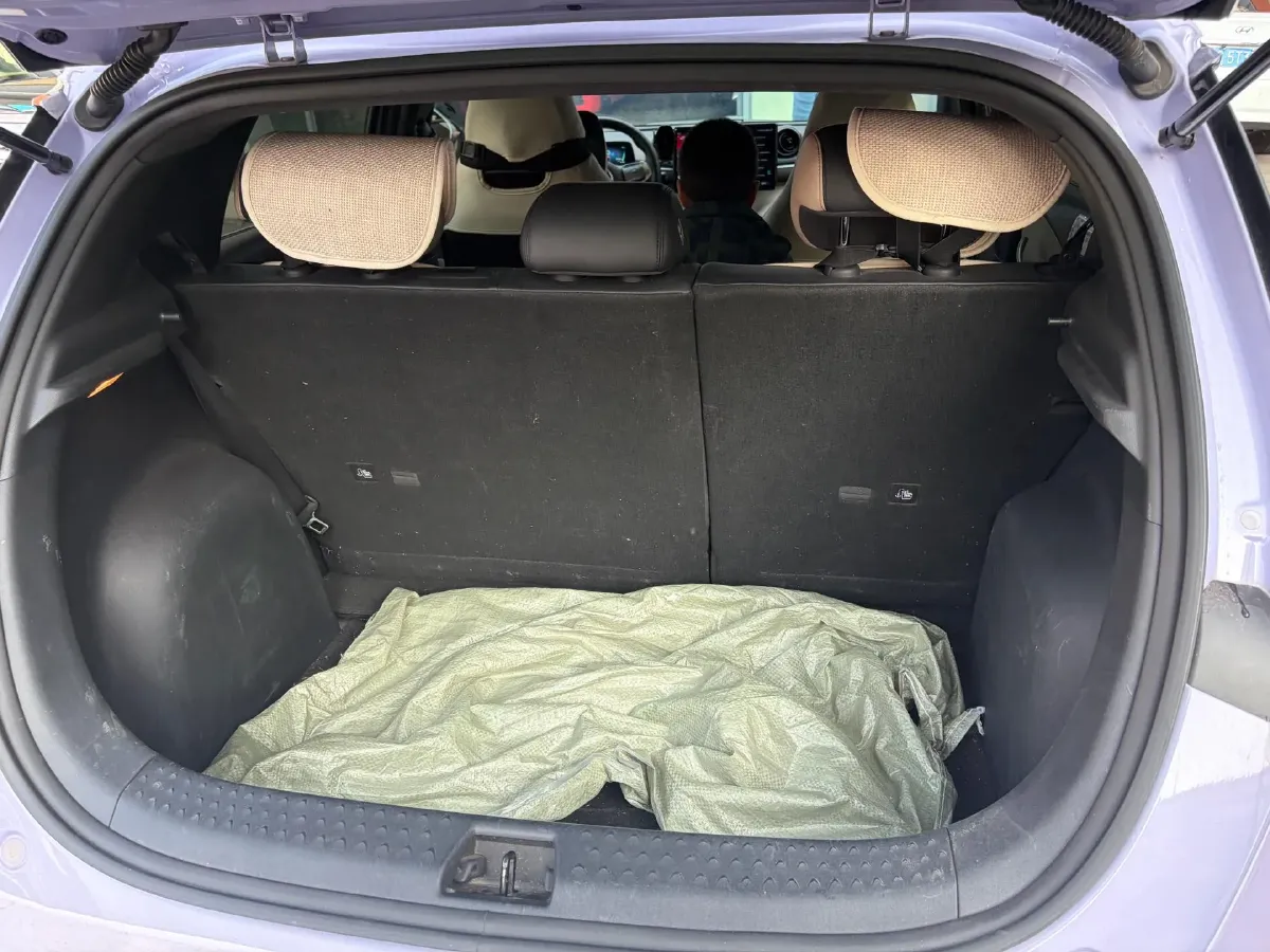 2023 BYD Dolphin BEV 44.928KWH,autocango,china used car exporter,china ev exporter,chinese used car exporter,chinese used ev exporter