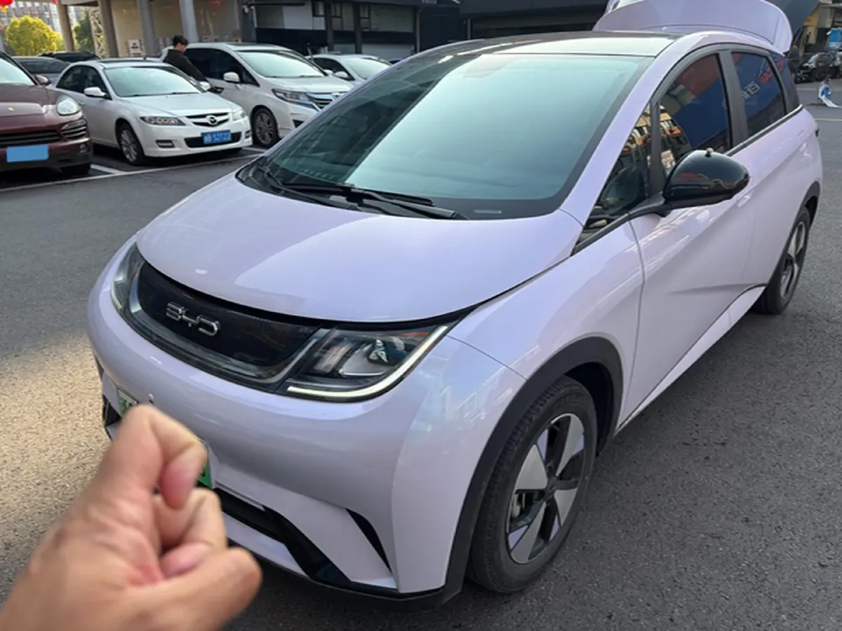 2023 BYD Dolphin BEV 44.928KWH,autocango,china used car exporter,china ev exporter,chinese used car exporter,chinese used ev exporter