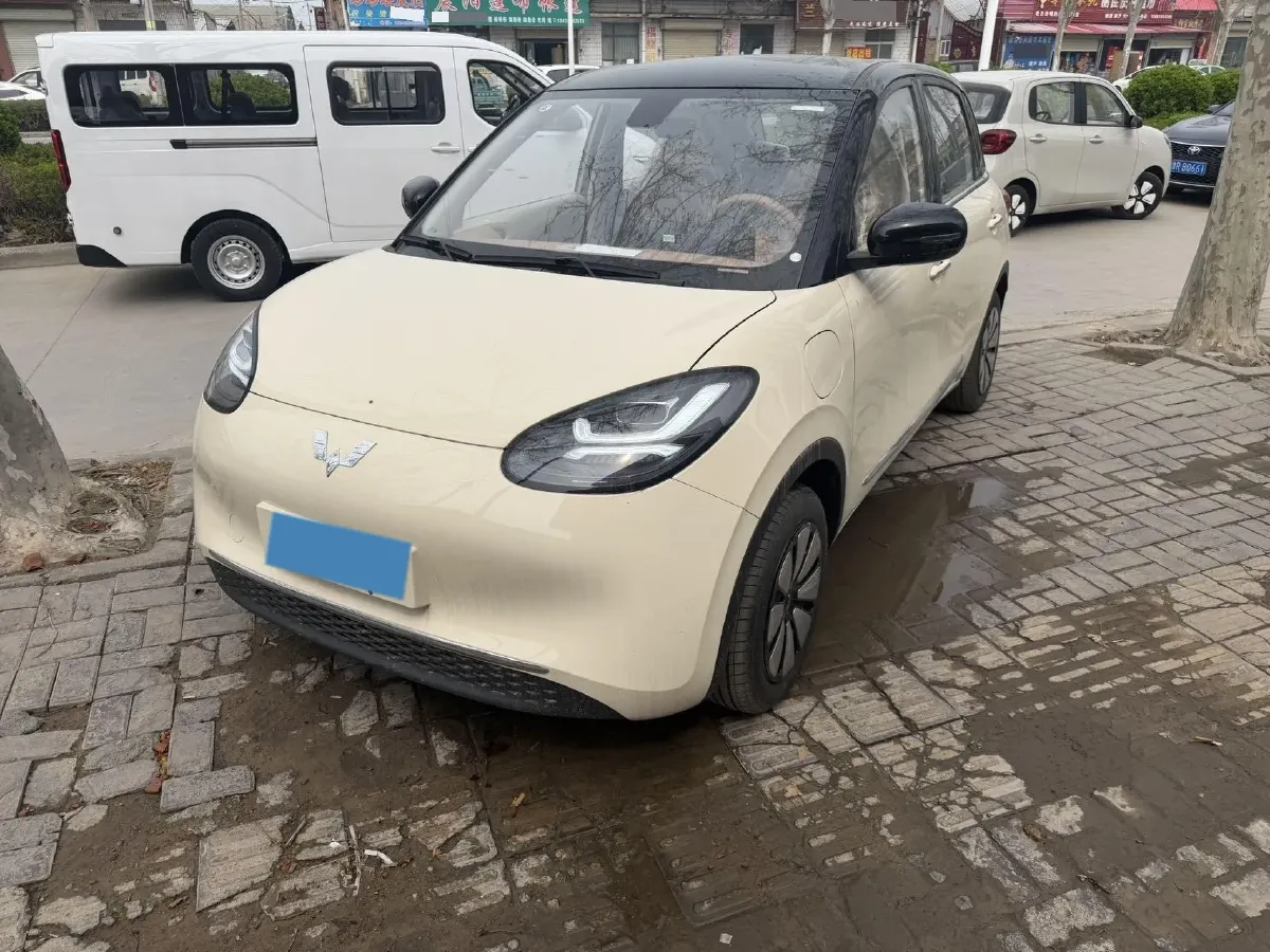 2024 WuLing BinGuo BEV 31.9KWH,autocango,china used car exporter,china ev exporter,chinese used car exporter,chinese used ev exporter