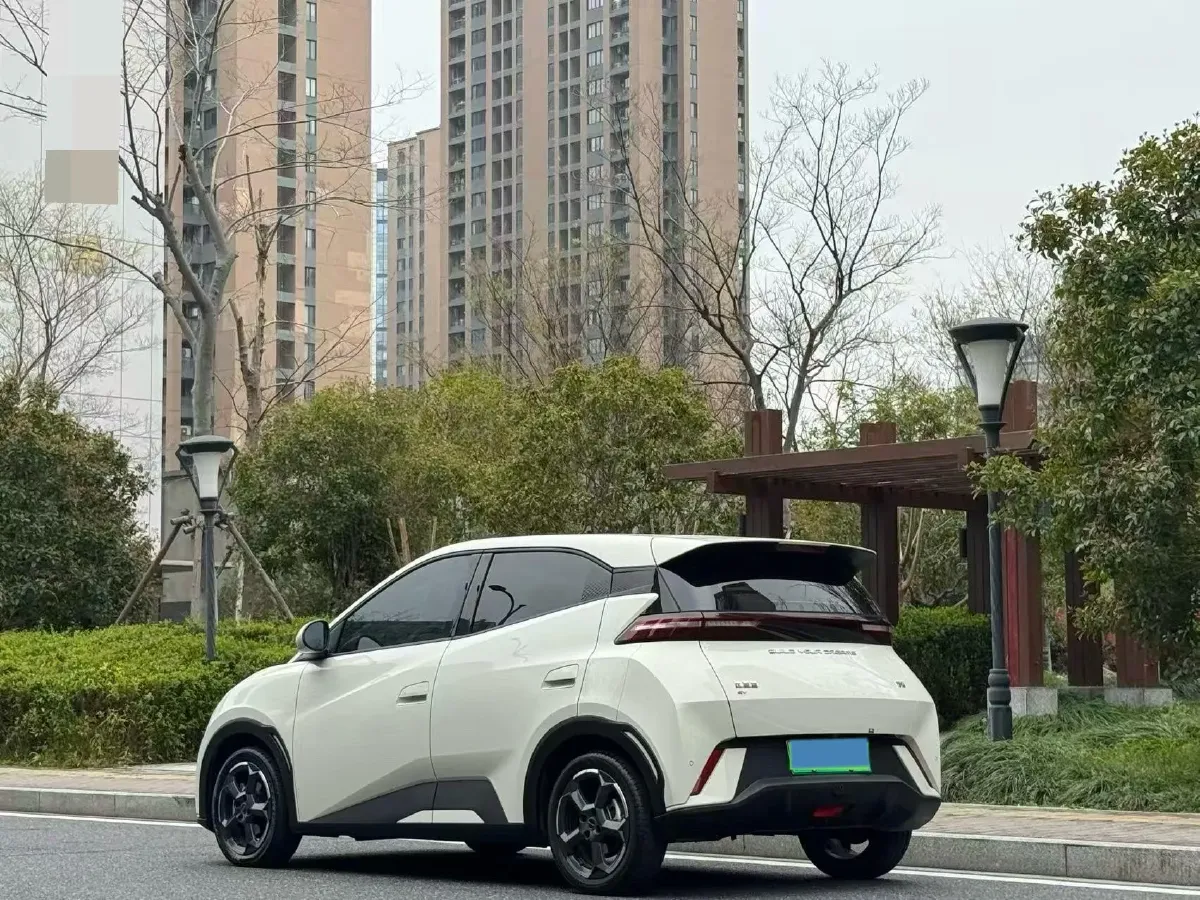 2024 BYD Seagull BEV 30.08KWH,autocango,china used car exporter,china ev exporter,chinese used car exporter,chinese used ev exporter