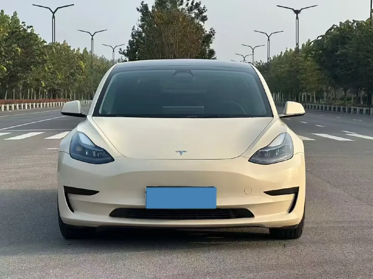2021 Tesla Model 3 BEV 55KWH,autocango,china used car exporter,china ev exporter,chinese used car exporter,chinese used ev exporter