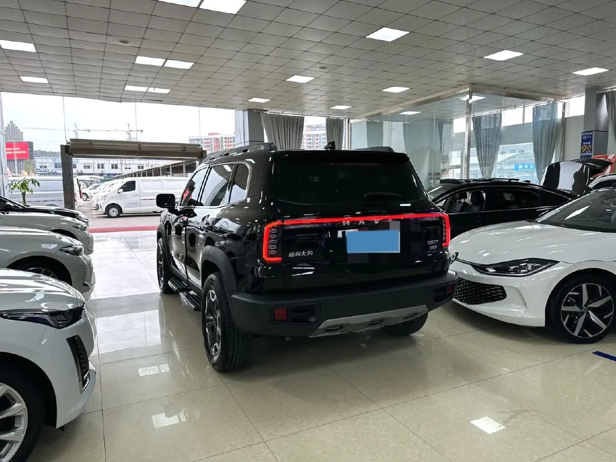 2024 Haval Dargo 2.0T 238HP L4 9DCT,autocango,china used car exporter,china ev exporter,chinese used car exporter,chinese used ev exporter