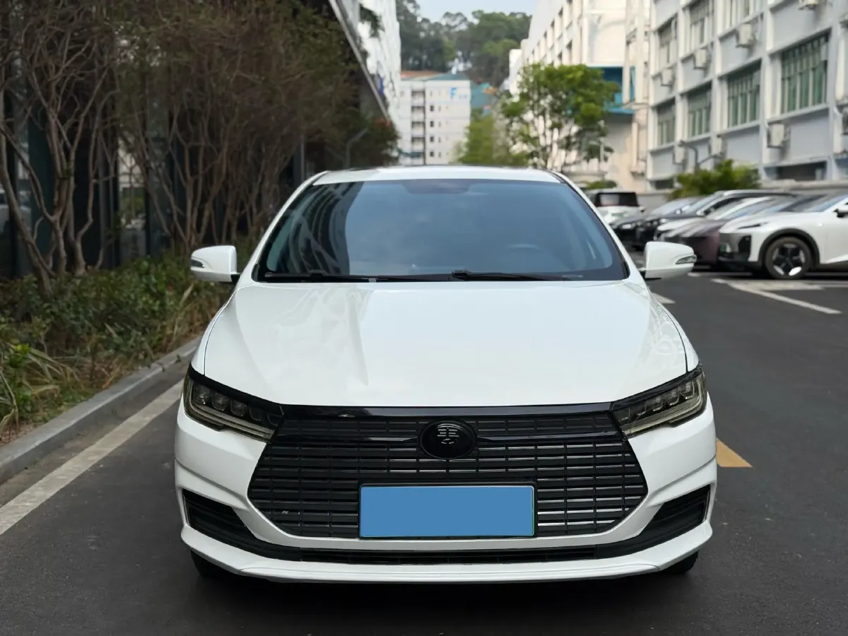 2019 BYD Qin BEV 53.1KWH,autocango,china used car exporter,china ev exporter,chinese used car exporter,chinese used ev exporter