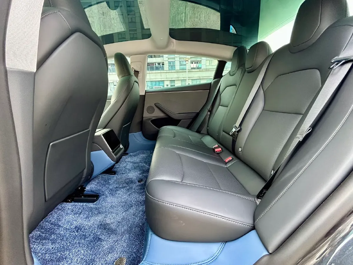 2025 Tesla Model 3 BEV,autocango,china used car exporter,china ev exporter,chinese used car exporter,chinese used ev exporter