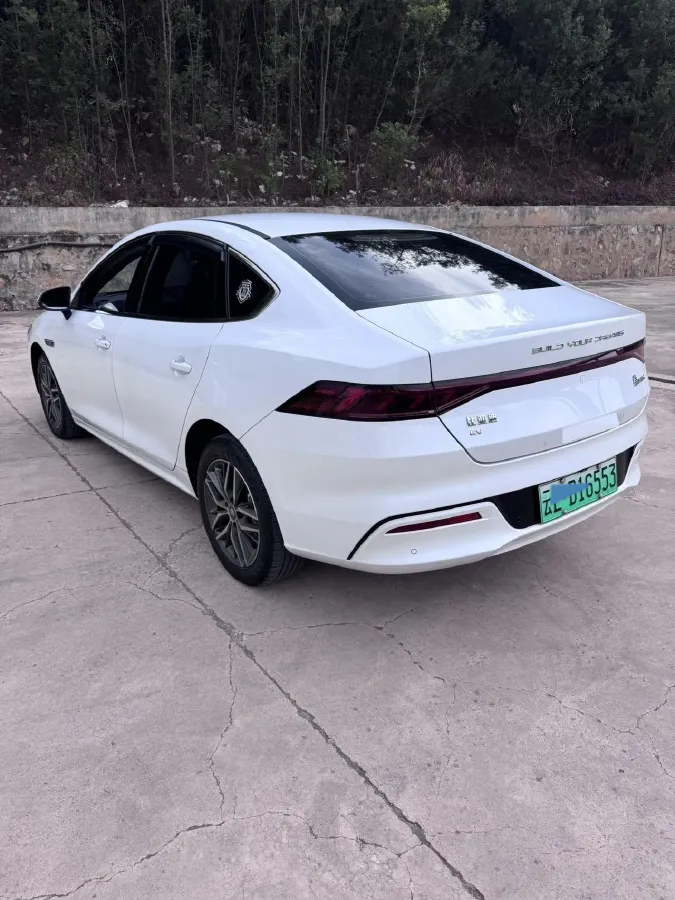 2023 BYD Qin Plus BEV 48KWH,autocango,china used car exporter,china ev exporter,chinese used car exporter,chinese used ev exporter