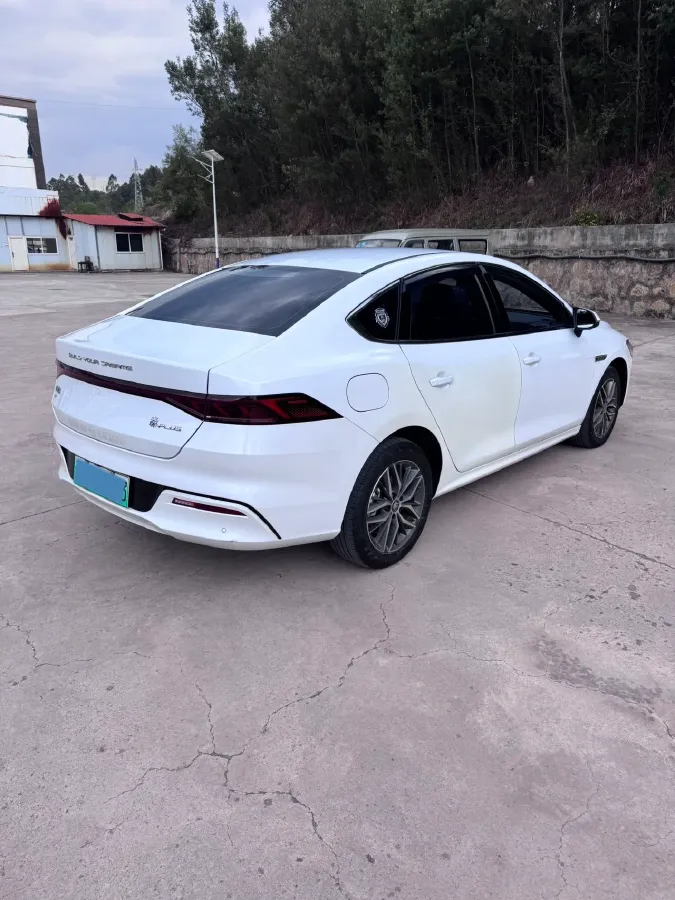 2023 BYD Qin Plus BEV 48KWH,autocango,china used car exporter,china ev exporter,chinese used car exporter,chinese used ev exporter