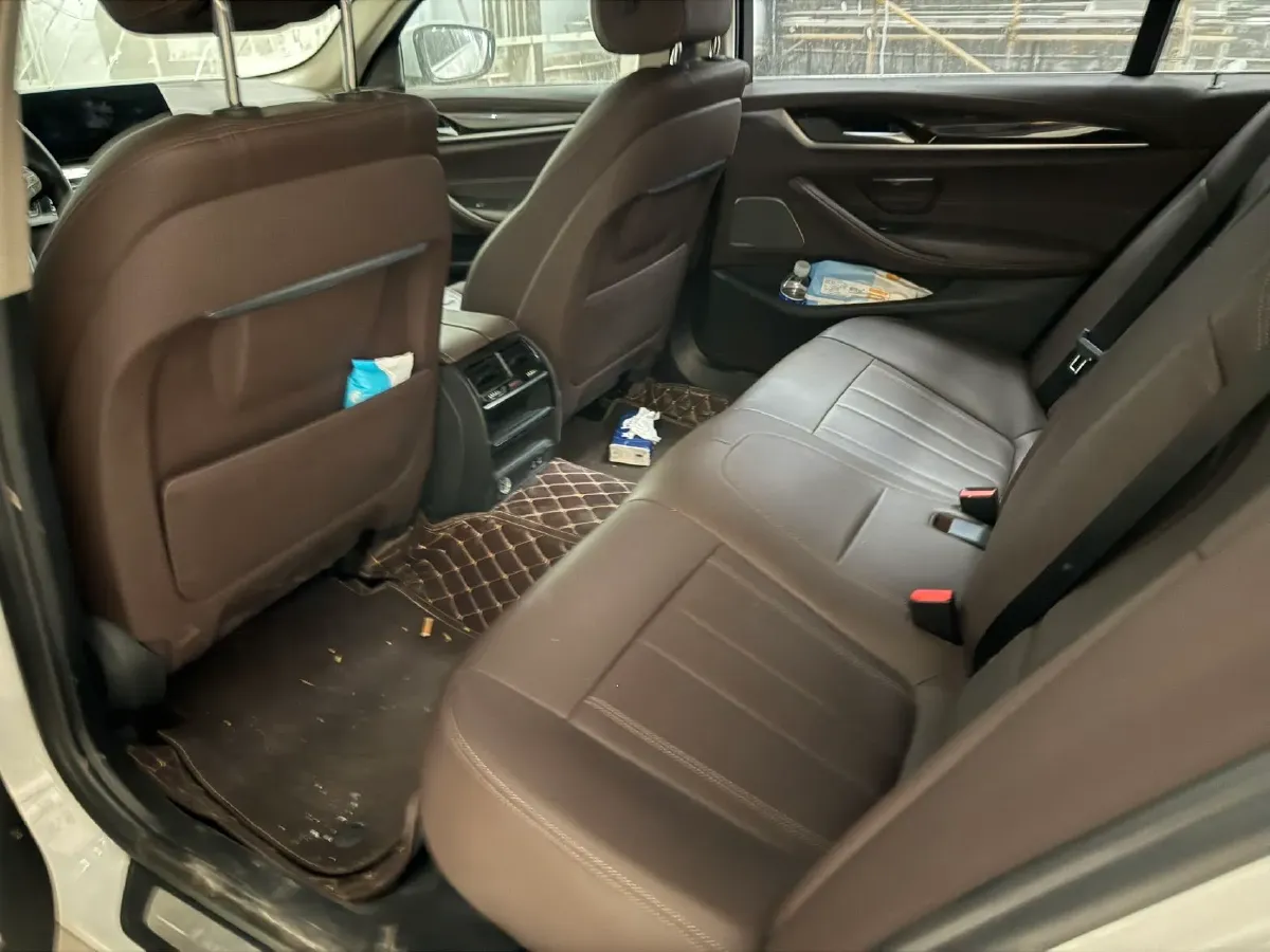 2020 BMW 5 Series 2.0T 184HP L4 8AT,autocango,china used car exporter,china ev exporter,chinese used car exporter,chinese used ev exporter