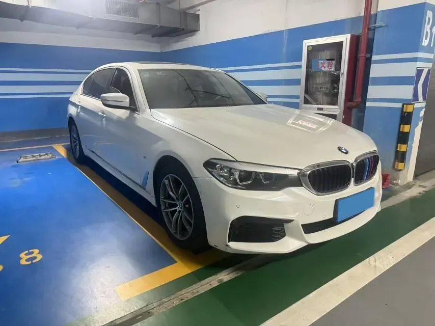 2020 BMW 5 Series 2.0T 184HP L4 8AT,autocango,china used car exporter,china ev exporter,chinese used car exporter,chinese used ev exporter