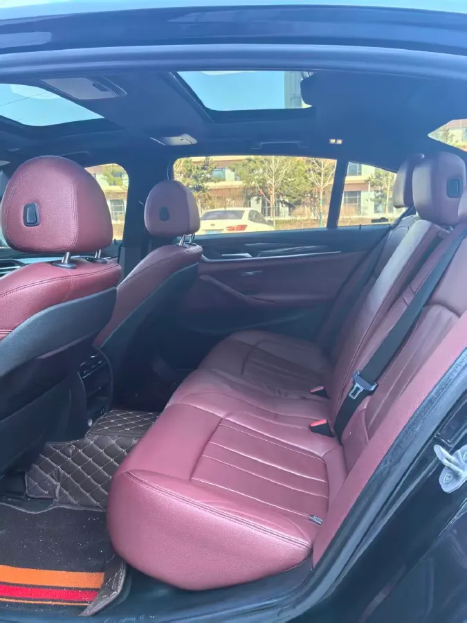 2020 BMW 5 Series 2.0T 252HP L4 8AT,autocango,china used car exporter,china ev exporter,chinese used car exporter,chinese used ev exporter