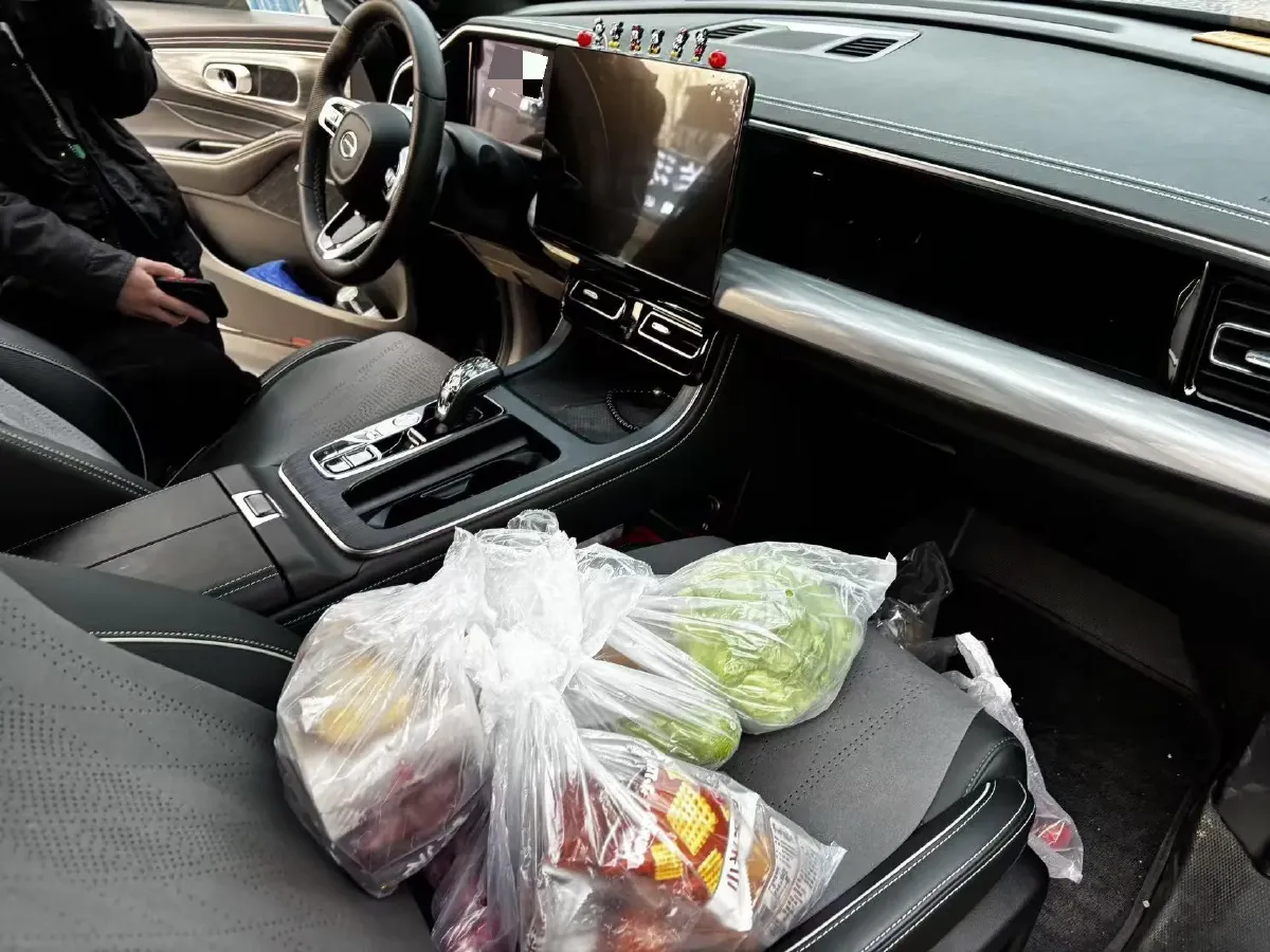 2024 GAC Trumpchi GS8 2.0T 252HP L4 8AT,autocango,china used car exporter,china ev exporter,chinese used car exporter,chinese used ev exporter