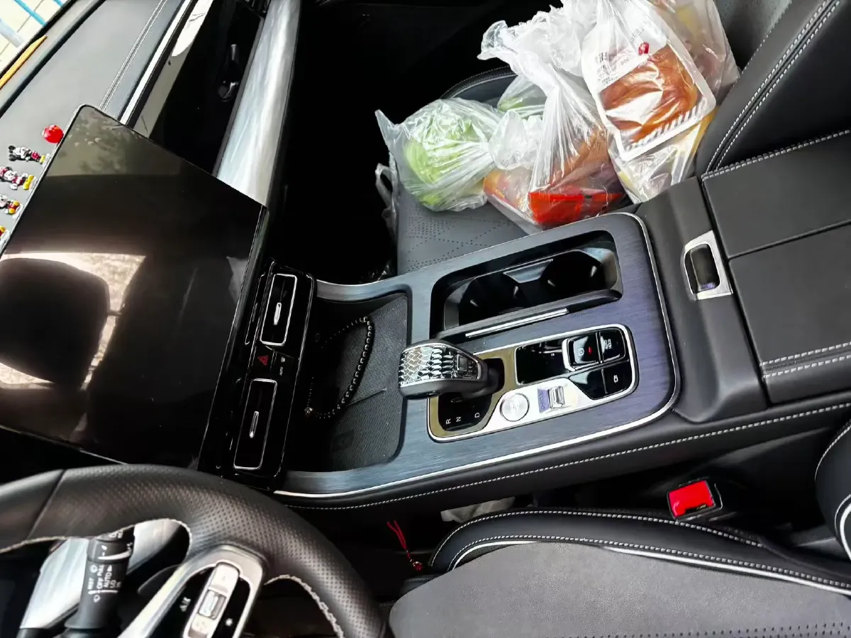 2024 GAC Trumpchi GS8 2.0T 252HP L4 8AT,autocango,china used car exporter,china ev exporter,chinese used car exporter,chinese used ev exporter