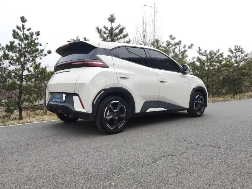 2023 BYD Seagull BEV 30.08KWH,autocango,china used car exporter,china ev exporter,chinese used car exporter,chinese used ev exporter