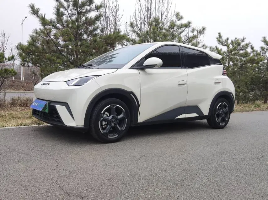 2023 BYD Seagull BEV 30.08KWH,autocango,china used car exporter,china ev exporter,chinese used car exporter,chinese used ev exporter