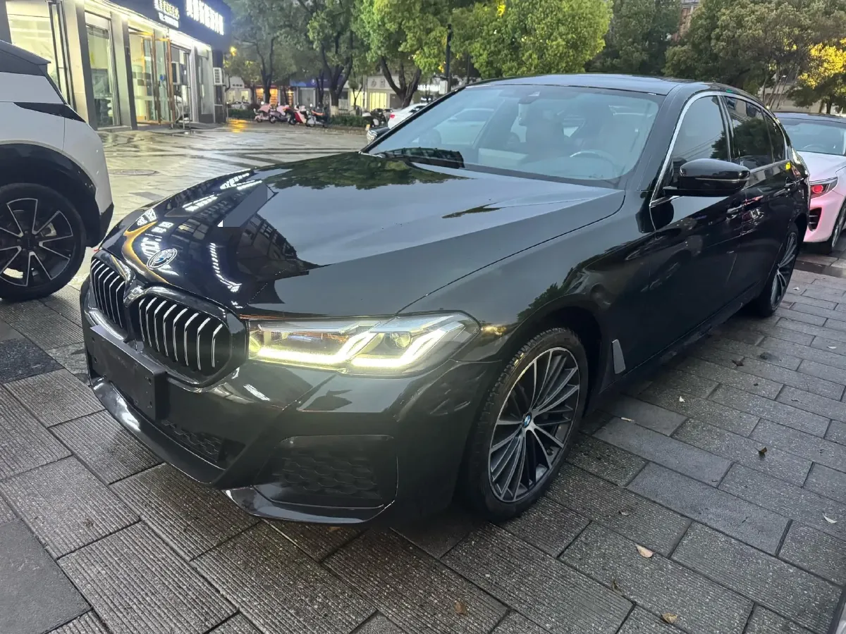 2021 BMW 5 Series 2.0T 252HP L4 8AT,autocango,china used car exporter,china ev exporter,chinese used car exporter,chinese used ev exporter