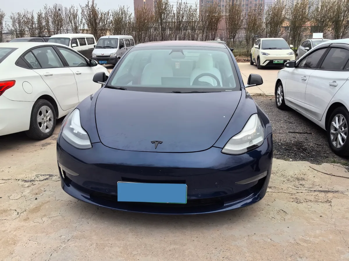 2020 Tesla Model 3 BEV 52KWH,autocango,china used car exporter,china ev exporter,chinese used car exporter,chinese used ev exporter