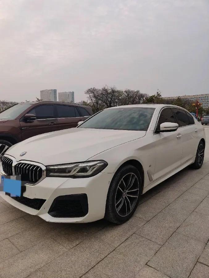 2021 BMW 5 Series 2.0T 184HP L4 8AT,autocango,china used car exporter,china ev exporter,chinese used car exporter,chinese used ev exporter