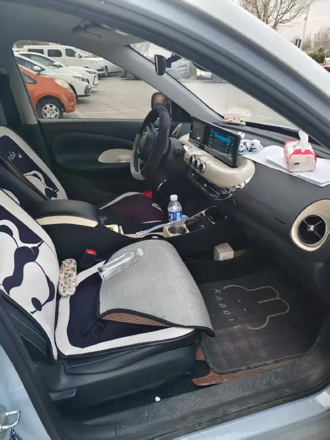 2023 WuLing BinGuo BEV 31.9KWH,autocango,china used car exporter,china ev exporter,chinese used car exporter,chinese used ev exporter