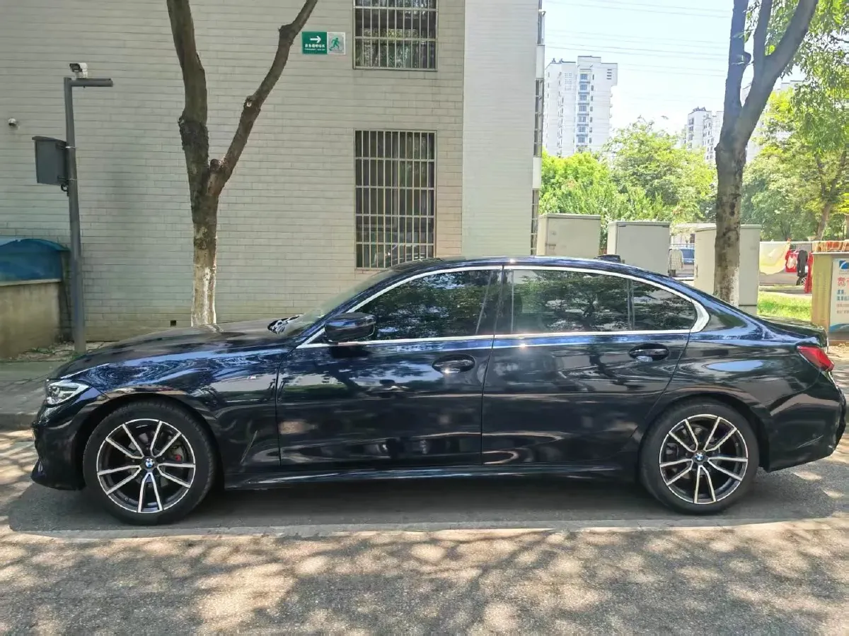 2020 BMW 3 Series 2.0T 184HP L4 8AT,autocango,china used car exporter,china ev exporter,chinese used car exporter,chinese used ev exporter