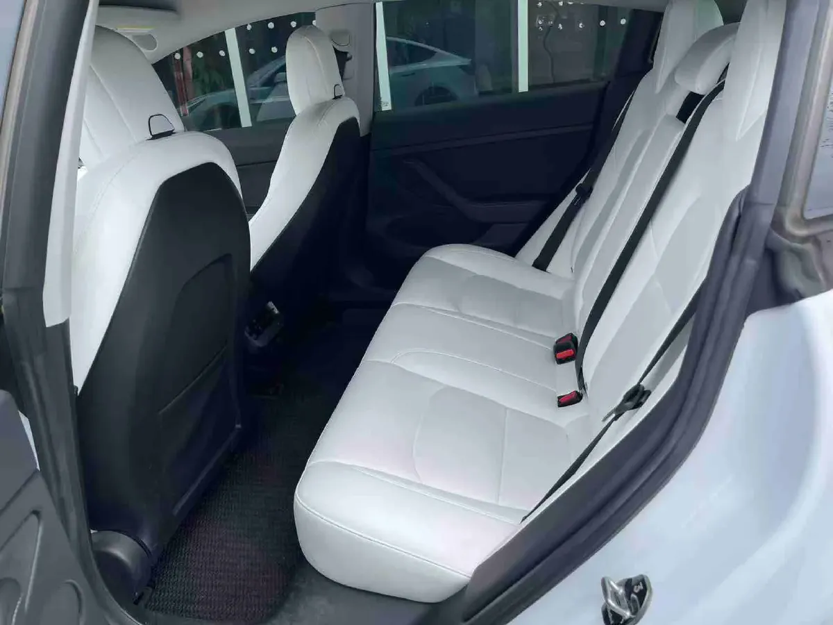 2021 Tesla Model 3 BEV 55KWH,autocango,china used car exporter,china ev exporter,chinese used car exporter,chinese used ev exporter