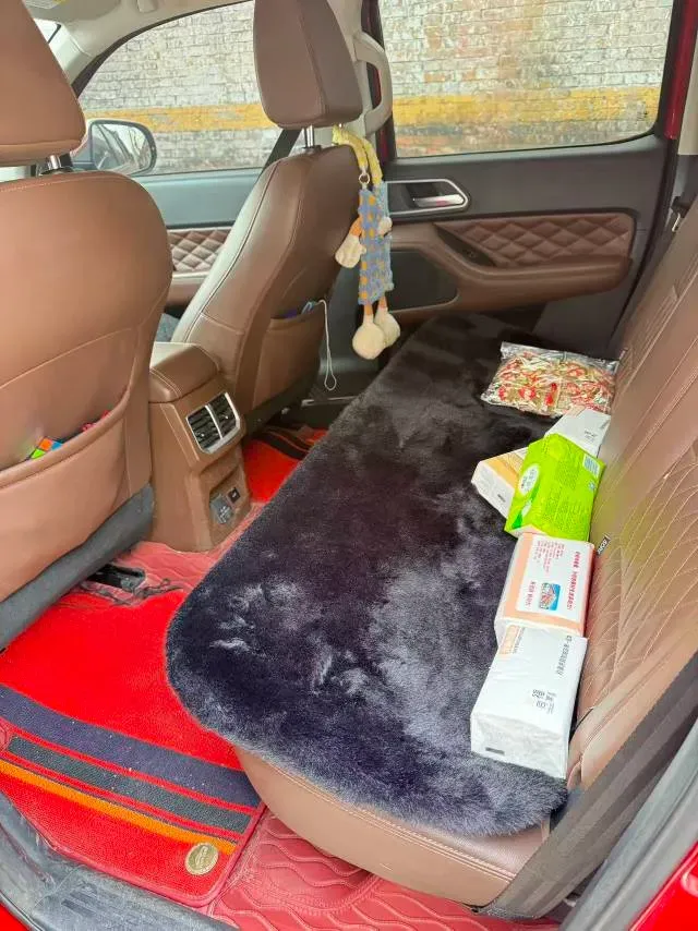 2019 Great Wall Poer 2.0T 190HP L4 8AT,autocango,china used car exporter,china ev exporter,chinese used car exporter,chinese used ev exporter