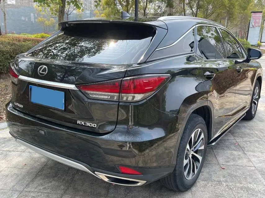 2020 Lexus RX 2.0T 238HP L4 6AT,autocango,china used car exporter,china ev exporter,chinese used car exporter,chinese used ev exporter