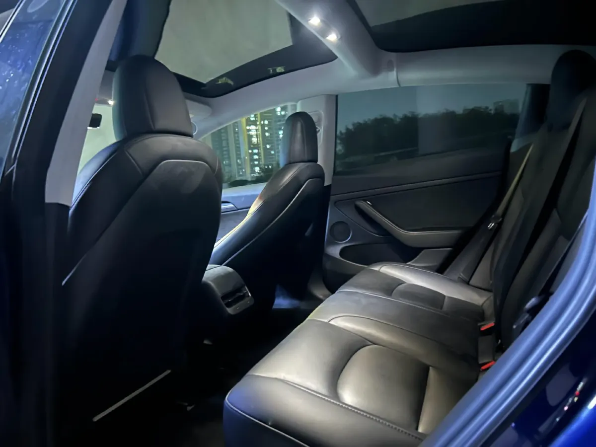 2021 Tesla Model 3 BEV 55KWH,autocango,china used car exporter,china ev exporter,chinese used car exporter,chinese used ev exporter