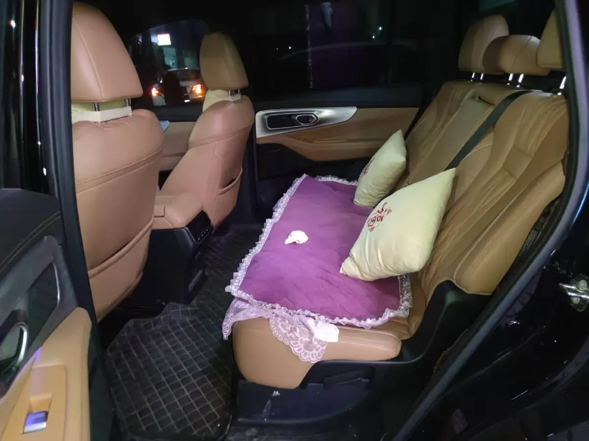 2024 GAC Trumpchi GS8 2.0T 252HP L4 8AT,autocango,china used car exporter,china ev exporter,chinese used car exporter,chinese used ev exporter