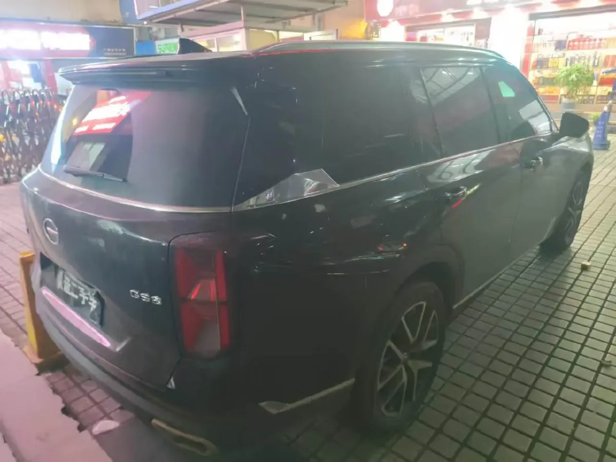 2024 GAC Trumpchi GS8 2.0T 252HP L4 8AT,autocango,china used car exporter,china ev exporter,chinese used car exporter,chinese used ev exporter