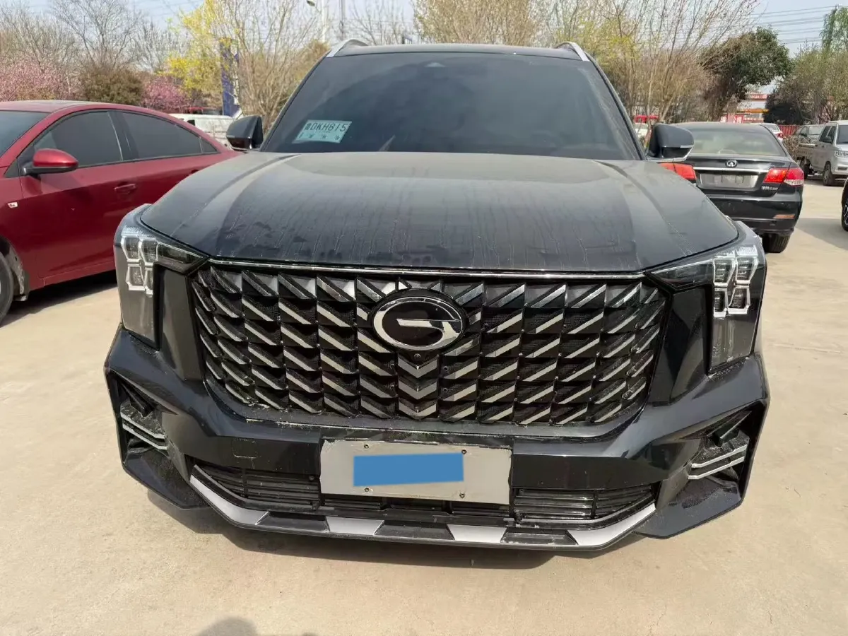 2024 GAC Trumpchi GS8 2.0T 252HP L4 8AT,autocango,china used car exporter,china ev exporter,chinese used car exporter,chinese used ev exporter
