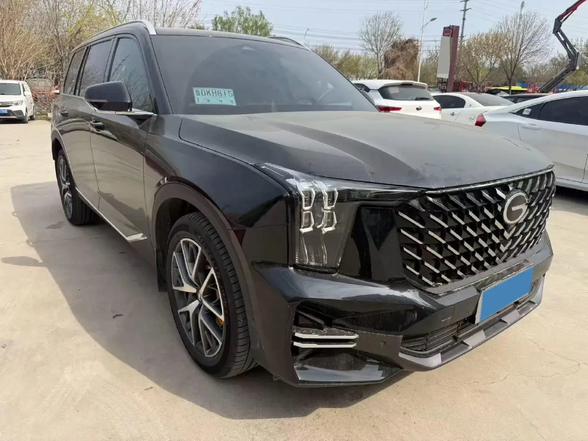 2024 GAC Trumpchi GS8 2.0T 252HP L4 8AT,autocango,china used car exporter,china ev exporter,chinese used car exporter,chinese used ev exporter