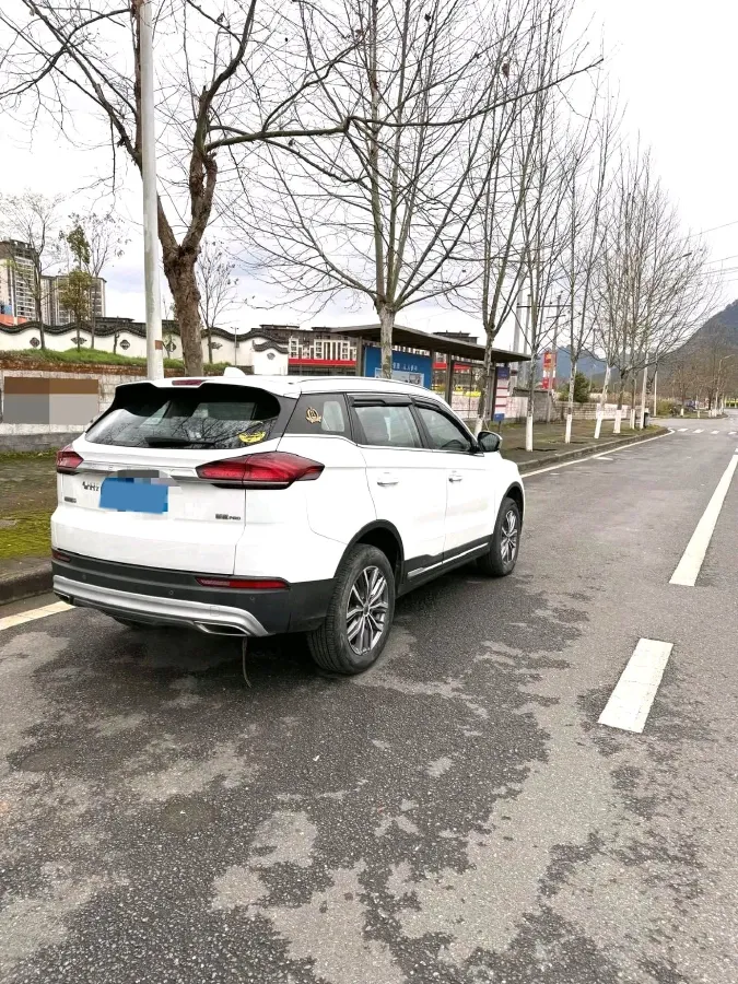 2020 Great Wall Poer 2.0T 163HP L4 8AT,autocango,china used car exporter,china ev exporter,chinese used car exporter,chinese used ev exporter