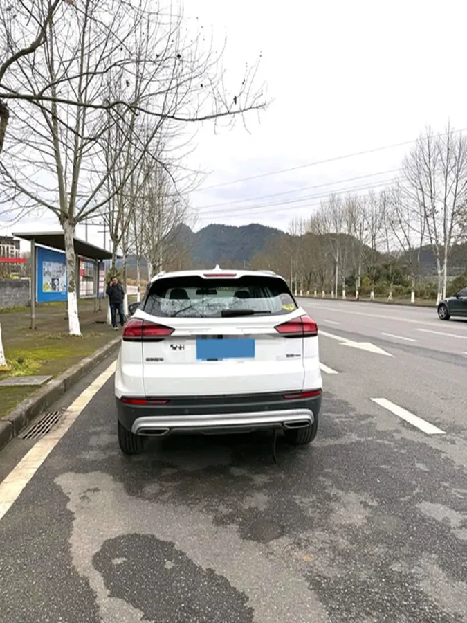 2020 Great Wall Poer 2.0T 163HP L4 8AT,autocango,china used car exporter,china ev exporter,chinese used car exporter,chinese used ev exporter