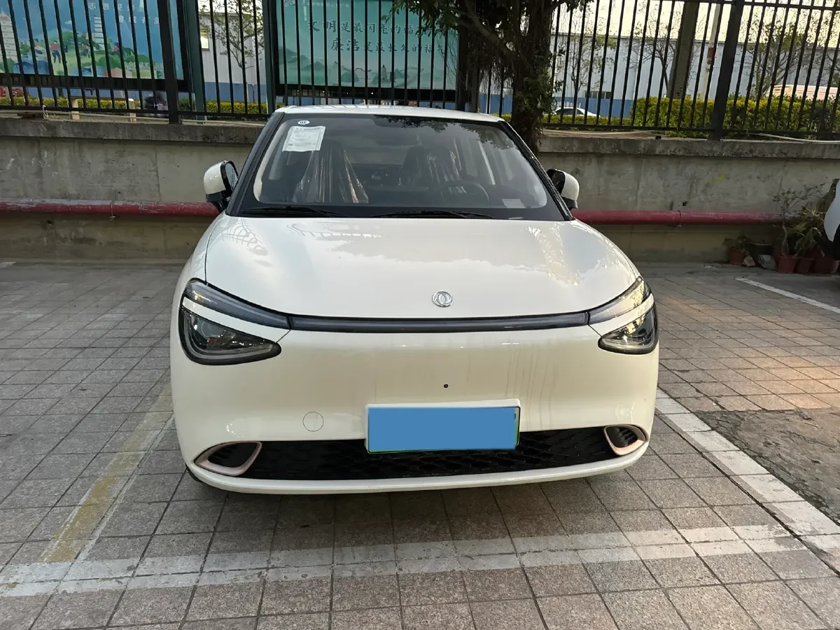 2024 DongFeng eπ 01 BEV 31.45KWH,autocango,china used car exporter,china ev exporter,chinese used car exporter,chinese used ev exporter