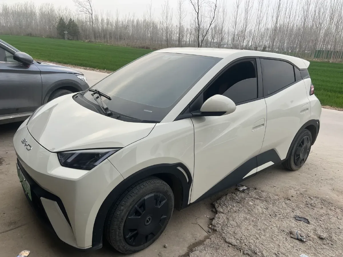 2023 BYD Seagull BEV 30.08KWH,autocango,china used car exporter,china ev exporter,chinese used car exporter,chinese used ev exporter