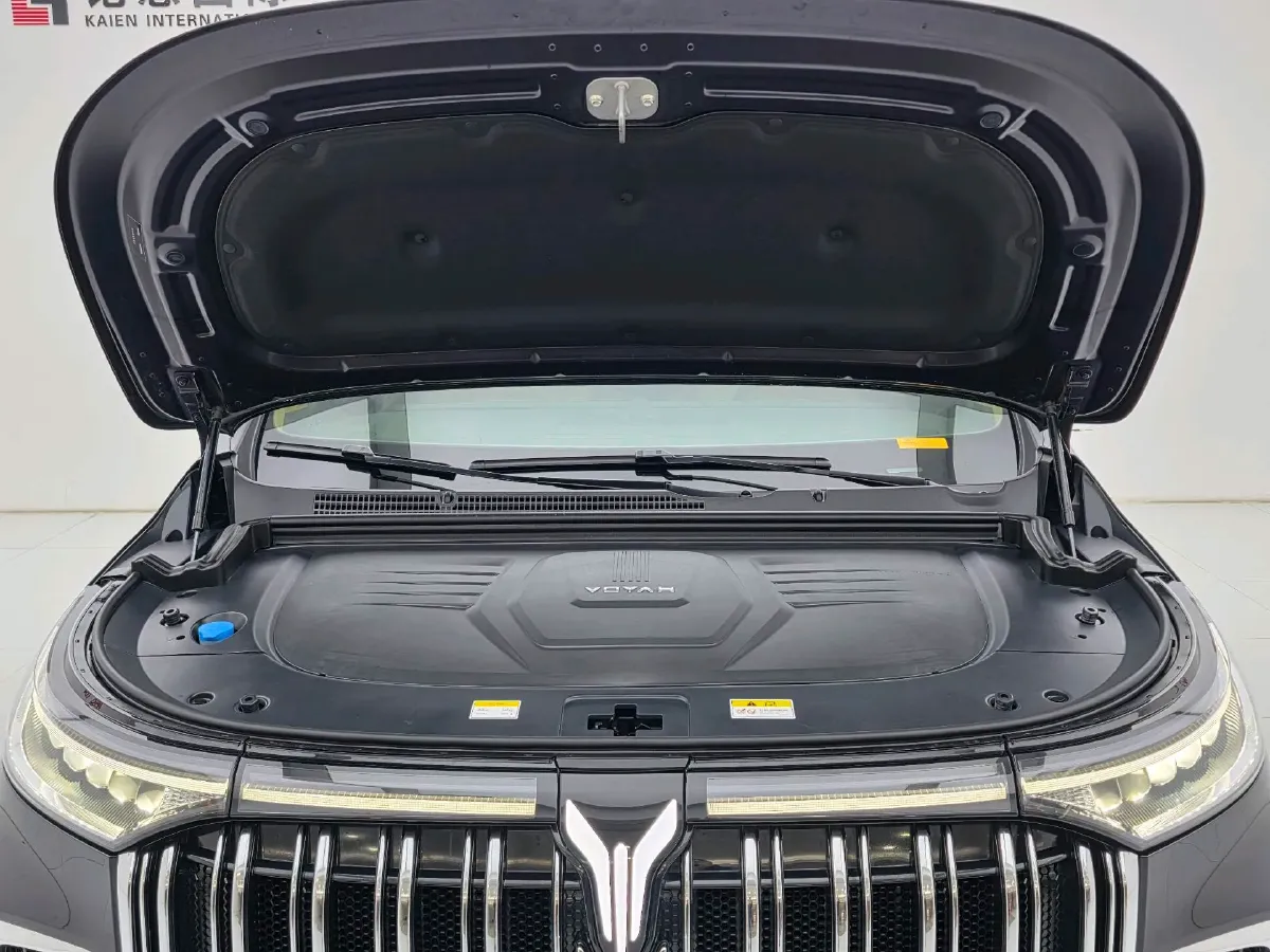 2024 Voyah Dream 1.5T 150HP L4 PHEV 43KWH,autocango,china used car exporter,china ev exporter,chinese used car exporter,chinese used ev exporter