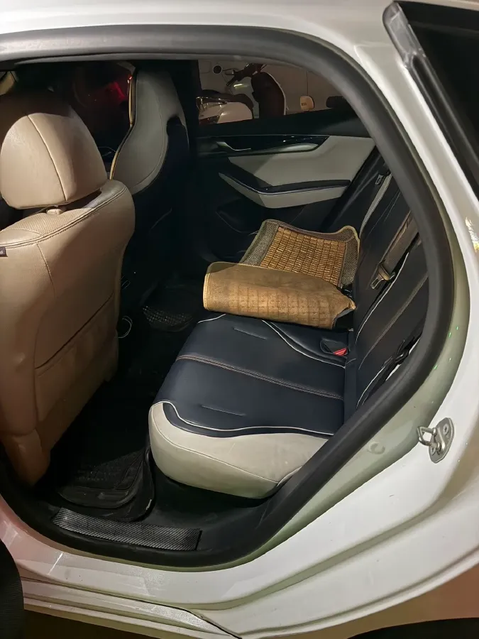 2021 DongFeng FuKang e Elysee BEV 38.4KWH,autocango,china used car exporter,china ev exporter,chinese used car exporter,chinese used ev exporter