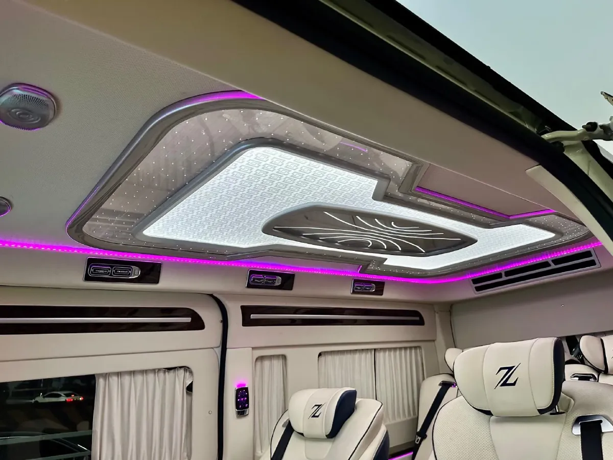 2019 Golden Dragon Sea Lion BEV 51.67KWH,autocango,china used car exporter,china ev exporter,chinese used car exporter,chinese used ev exporter